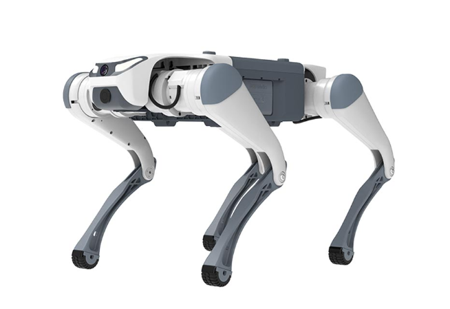 會(huì)撒嬌會(huì)干活【夢(mèng)中情狗】來(lái)了